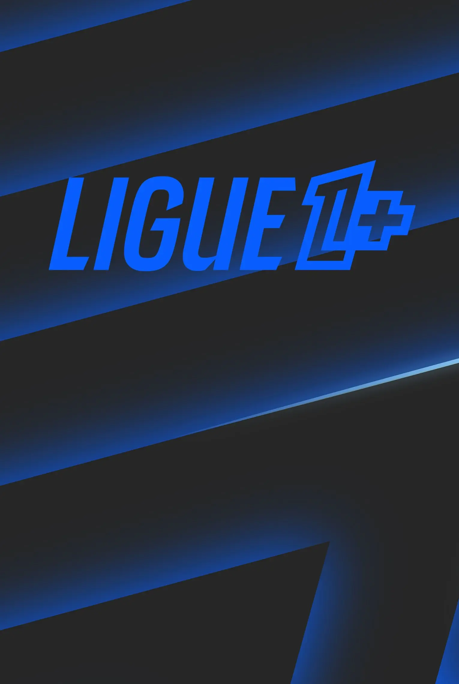 Aperçu Ligue 1